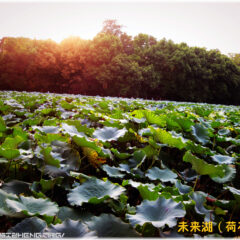 广东北江中学未来湖