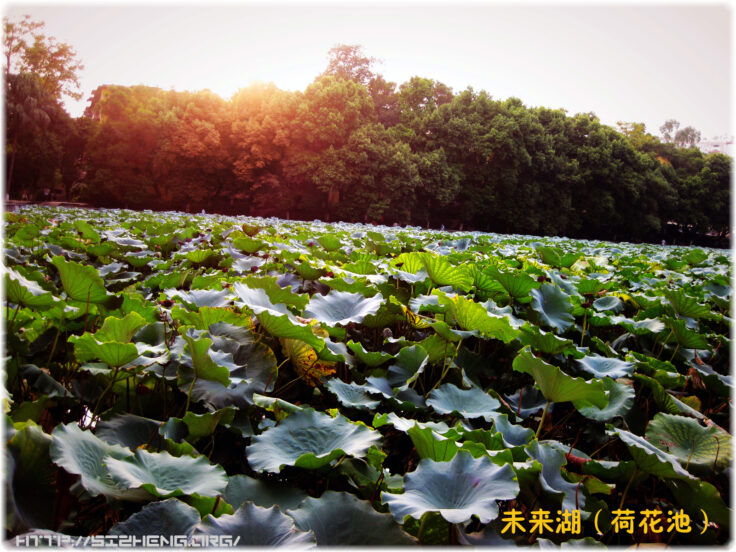广东北江中学未来湖