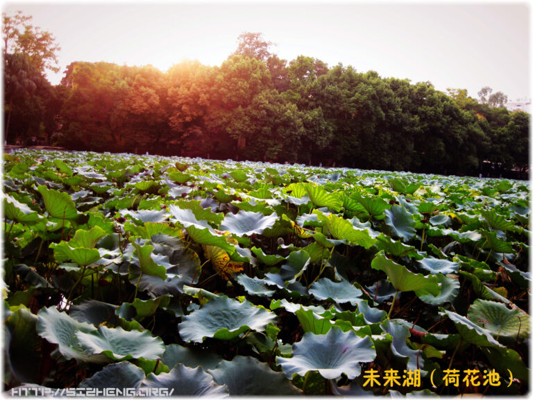 广东北江中学未来湖