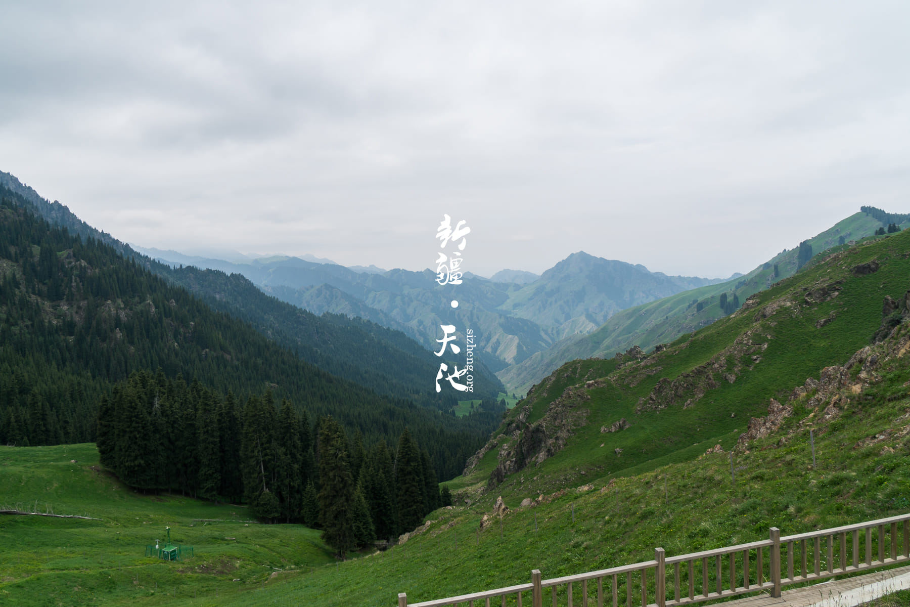 天池路边的风景也是很美的