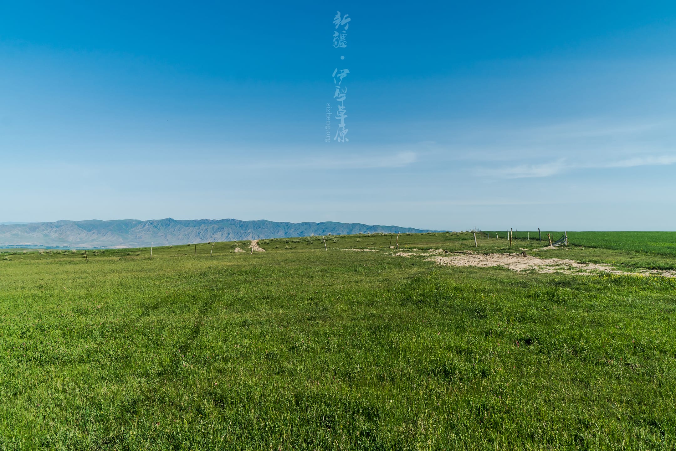 昭苏草原