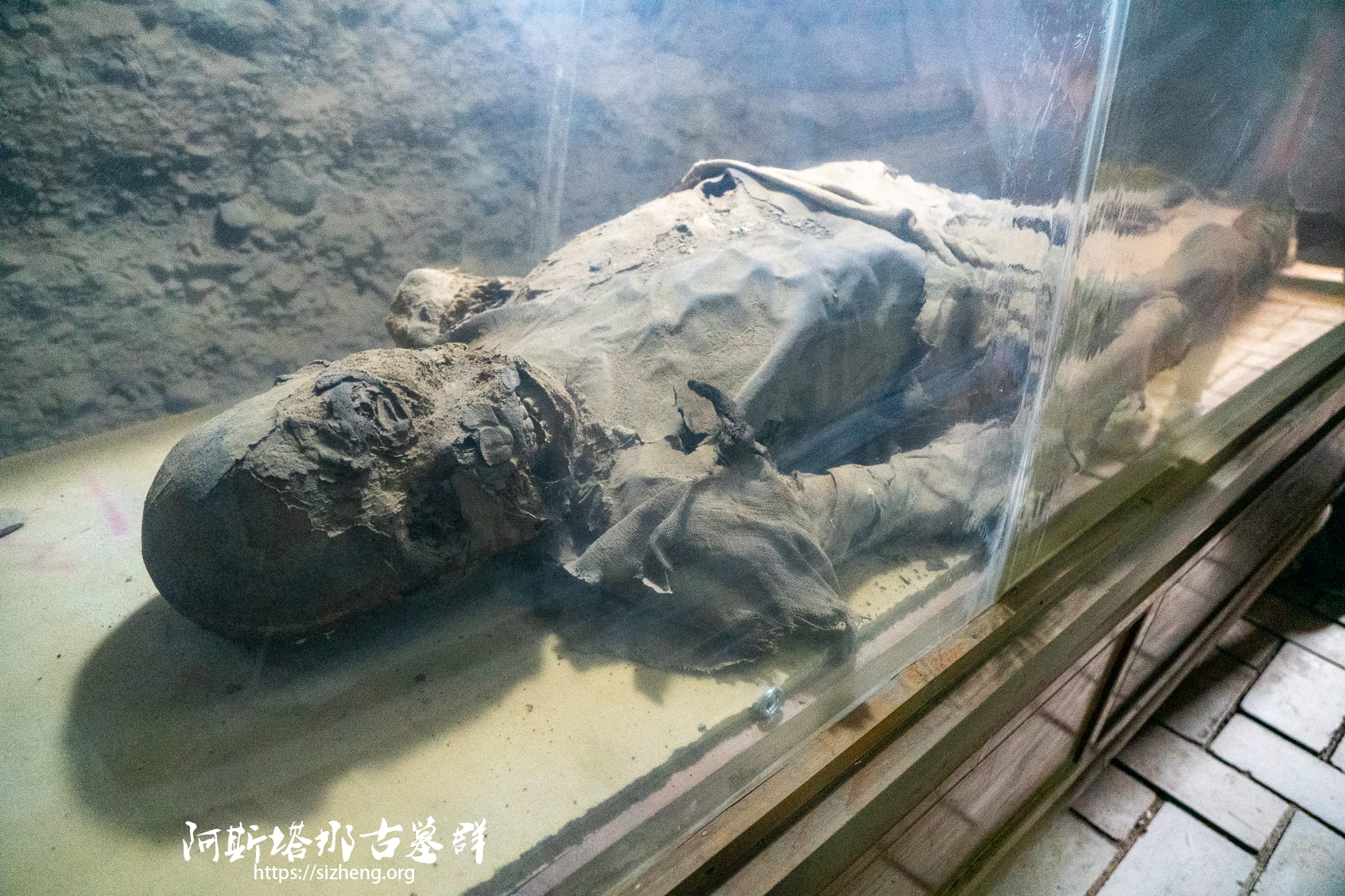 阿斯塔那古墓干尸