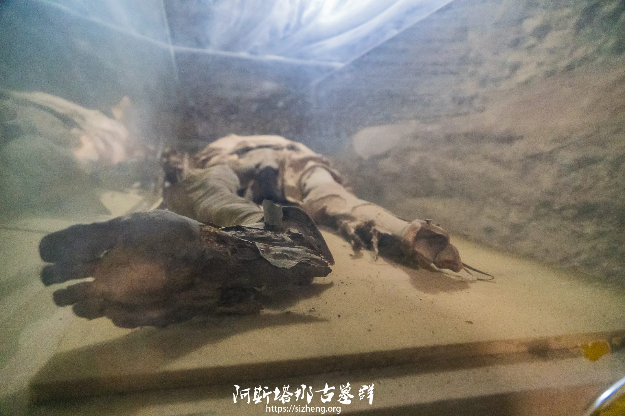 阿斯塔那古墓干尸