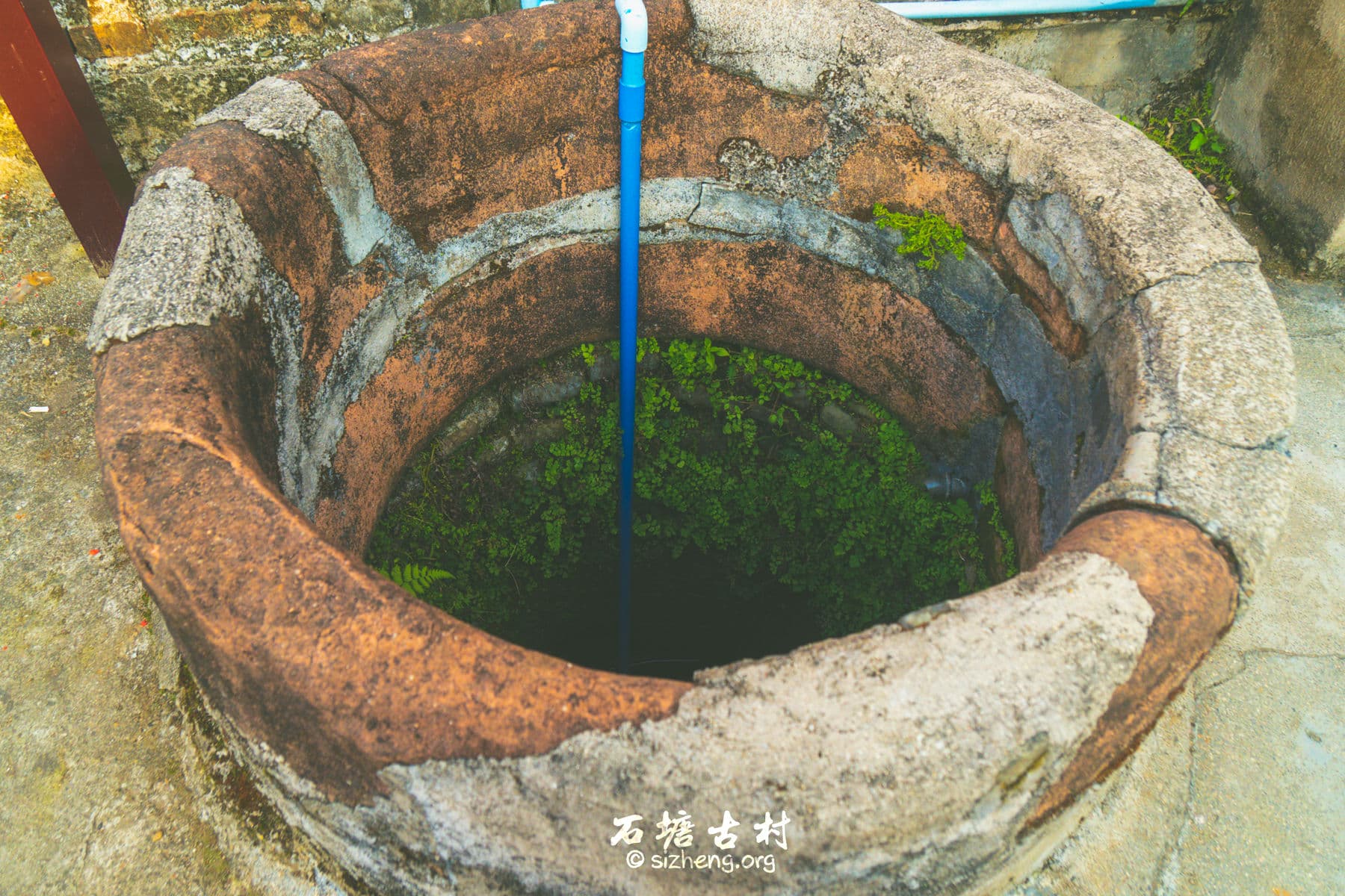 梅石井