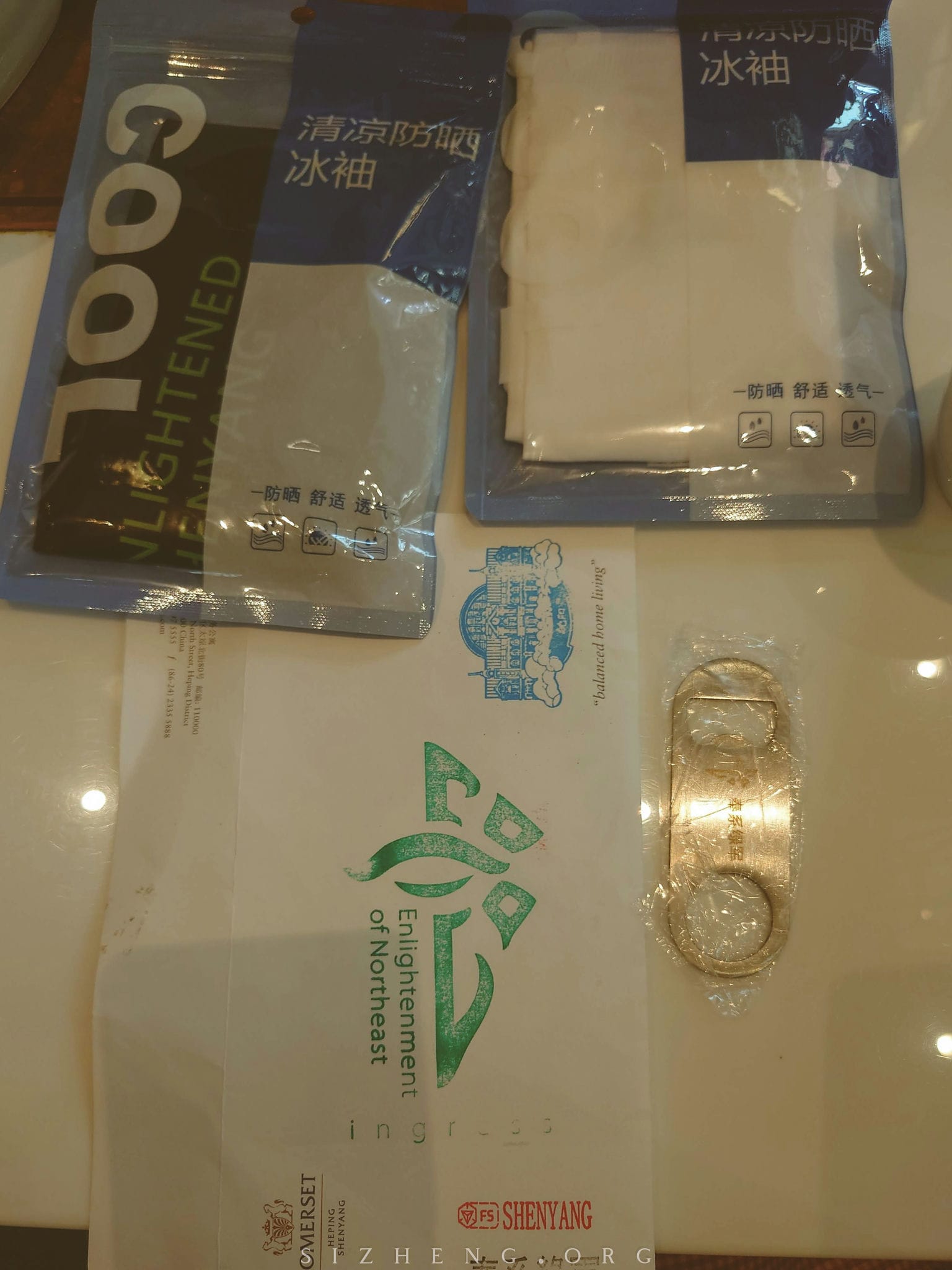 ingress 沈阳绿军纪念品