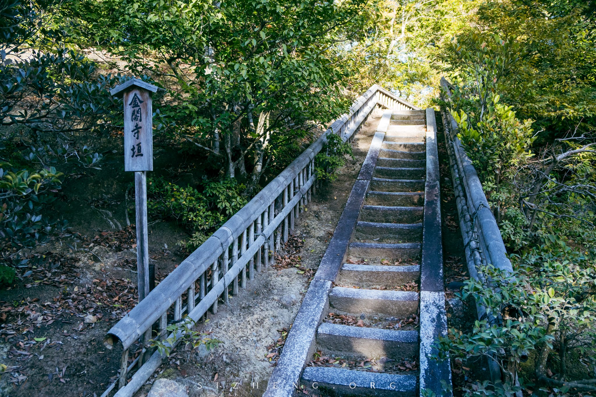 金阁寺垣 Kinkakuji Hedge