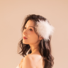 夏小雪